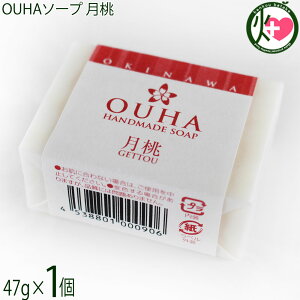 ER̔ 点 OUHA\[v  47g×1  痿 Y