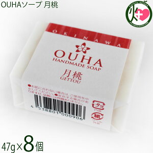 ER̔ 点 OUHA\[v  47g×8  痿 Y
