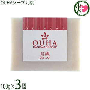 ER̔ 点 OUHA\[v  100g×3  痿 Y