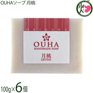 ER̔ 点 OUHA\[v  100g×6  痿 Y