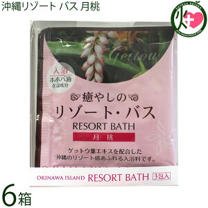 ER̔ ꃊ][g oX  30g×3×6