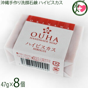 ݂Ȃ傤 点 OUHA\[v nCrXJX 47g×8 ێ