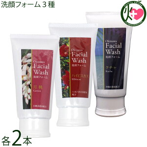 ER̔ tH[ N` nCrXJX  100g 3×2{Zbg