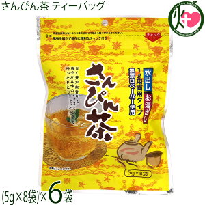 rGg ҂ eB[obO 40g(5g×8)×6 