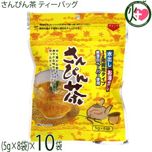 rGg ҂ eB[obO 40g(5g×8)×10 