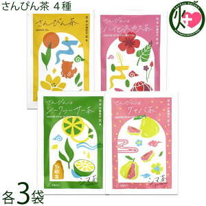 牀 V} ҂ nCrXJX V[N[T[ O@o 10g(2g×5) 4×3܃Zbg