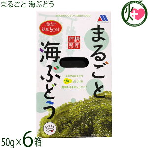 bNC^[iVi ܂邲 CԂǂ 50g×6