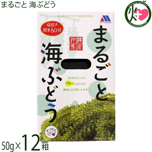 メックインターナショナル まるごと 海ぶどう 50g×12個