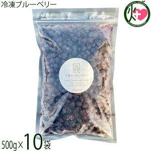 x_ Ⓚu[x[500g×10 _͔|