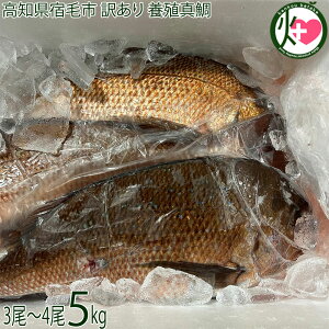 Ngt[Y mhюs 󂠂 {B^ 5kg 3`4ڈ