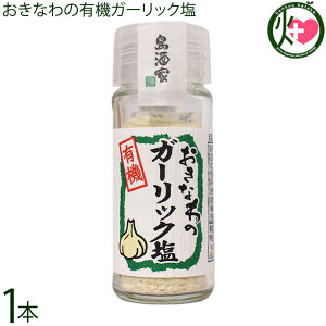 島酒家 おきなわのガーリック塩 23g×1本 沖縄 にんにく 塩 無添加