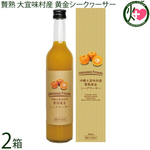 PX XY ҏnV[N[T[ ʏ`100 500ml×2