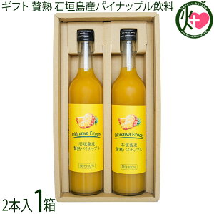 Mtg PX Ί_Y ҏn pCibv ʏ`100 500ml×2{×1