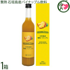 PX Ί_Y ҏn pCibv ʏ`100 500ml×1