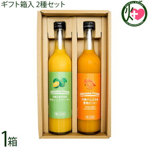 Mtg PX ΂Y ҏn^J ʏ`100%  XY ؃V[N[T[ ʏ`100 500ml×2{Zbg 