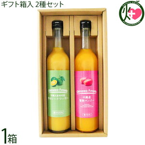 PX Mtg XY ؃V[N[T[ ʏ`100 500ml  ꌧY ҏn}S[ʏ`50% 500ml×2{Zbg