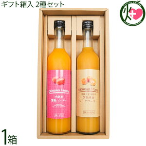 Mtg PX ҏn ꌧY }S[ʏ` XY ҏnV[N[T[ ʏ`100 e500ml 2{Zbg 