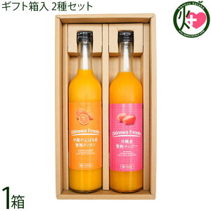 Mtg PX ꌧY ҏn}S[ʏ`50%  ΂Y ҏn^J ʏ`100% 500ml 2{Zbg 