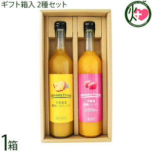 Mtg PX Ί_Y ҏnpCibv ʏ`100  ꌧY ҏn}S[ʏ`50% 500ml×2{Zbg 