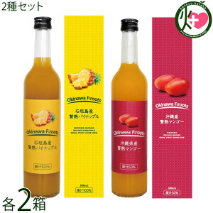 PX Ί_Y ҏnpCibv ʏ`100 500ml / ꌧY ҏn}S[ʏ`50% 500ml×e2 