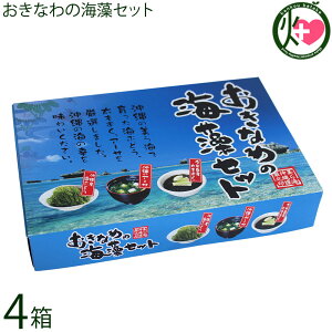  Ȃ̊CZbg×4ECԂǂEEA[TI ̊C̍KZbg