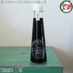 WW[Vbv Ί_ 䂫̃XpCV[WW[Vbv 120ml×6{