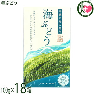 O[AbvR[|[V CԂǂ 100g×18 Cm[wgp