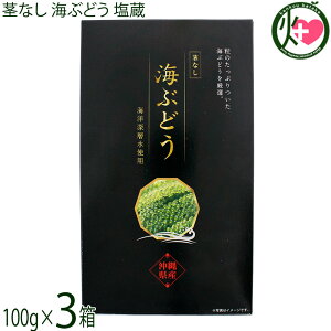 グローアップコーポレーション 茎なし 海ぶどう塩蔵 100g×3箱 化粧箱入