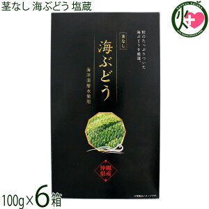 グローアップコーポレーション 茎なし 海ぶどう塩蔵 100g×6箱 化粧箱入