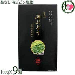 O[AbvR[|[V sȂ CԂǂ 100g×9 ϔ