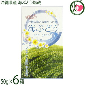 O[AbvR[|[V CԂǂ 50g×6 ϔ