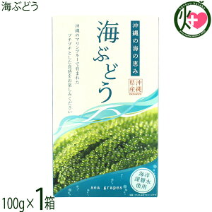 O[AbvR[|[V CԂǂ 100g×1 Cm[wgp