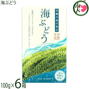 O[AbvR[|[V CԂǂ 100g×6 Cm[wgp