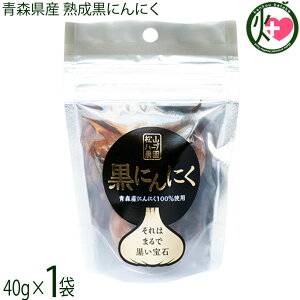Rn[u_ XY nɂɂ 40g×1 X^hpbN
