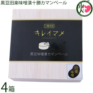 aJ Y cyXЏ\J}x[ 100g×4