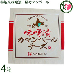 aJ Y ĖXЏ\J}x[ 100g×4