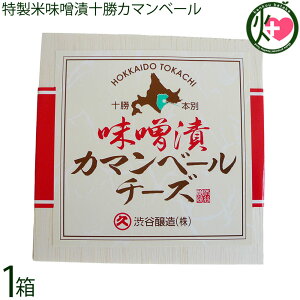 aJ Y ĖXЏ\J}x[ 100g×1