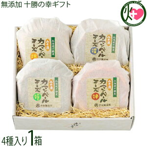 aJ Y \̍KMtg XЃJ}x[100g 4×1