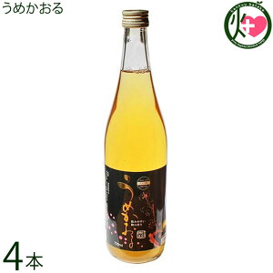 �_���� ���߂����� 720ml×4�{ ����