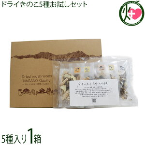 �{��̕�炵 �h���C���̂�5�킨�����Z�b�g×1��