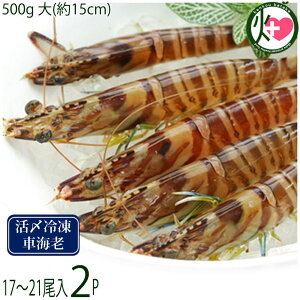 X{B }Ⓚ XY Ԃ  500g (15cm) 17`21×2P