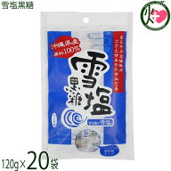 黒糖本舗垣乃花 雪塩黒糖 120g×20袋 沖縄 宮古島 沖縄県産原料100％