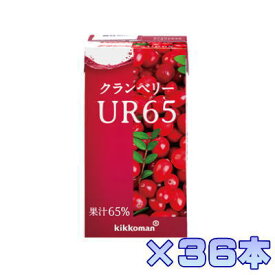 キッコーマン　クランベリーUR65 　125ml×18本×2ケース　果汁65％　【栄養】　送料無料