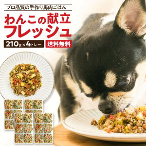 Nʐ 񂱂̌tbV hbNt[h  n  EFbgt[h OCt[ Y Y btďC 210g×4g[ VjA  V ΐH gbsO tbVt[h 