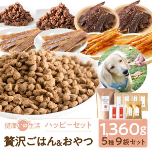 yIۂ艿iz hbOt[h n Y Y nbs[ZbgBi ґ򂲂͂  l j  ybg ybgt[h  t[h 1kg ~` 80g wV[W[L[ 40g 