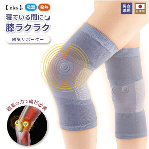 TX}C CÊ QȂЂyT|[^[ CT|[^[ 2 1g jp {  u[O[