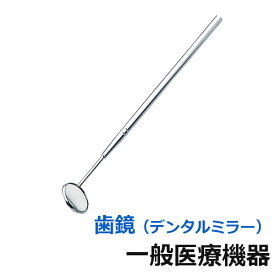 楽天市場 歯磨き 鏡の通販 楽天市場 歯磨き 鏡の通販