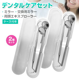 �y2�Z�b�g�z�f���^���P�A �Z�b�g�i�P�[�X�t���j ���� �f���^���~���[ �����G�L�X�v���[���[ �X�P�[���[�� �T�j �X�P�[���[ �����p�~���[�t��