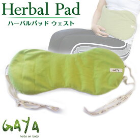 楽天市場 腰 ホットパック 電子レンジの通販