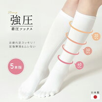 楽天市場】サポートストッキングsサイズの通販 